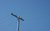 telephone pole - photo/picture definition - telephone pole word and phrase image