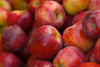 braeburn apples - photo/picture definition - braeburn apples word and phrase image