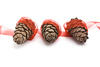 cedar cones - photo/picture definition - cedar cones word and phrase image