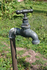 garden tap - photo/picture definition - garden tap word and phrase image