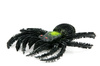 spider toy - photo/picture definition - spider toy word and phrase image