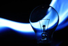 bulb - photo/picture definition - bulb word and phrase image