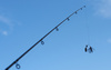 spinning rod - photo/picture definition - spinning rod word and phrase image