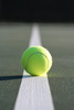 tennis ball - photo/picture definition - tennis ball word and phrase image