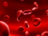 blood cells - photo/picture definition - blood cells word and phrase image