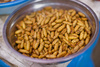 edible larvae - photo/picture definition - edible larvae word and phrase image