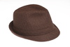 fedora hat - photo/picture definition - fedora hat word and phrase image