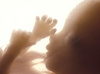 fetus - photo/picture definition - fetus word and phrase image