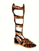 gladiator sandal - photo/picture definition - gladiator sandal word and phrase image