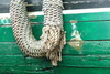 dock rope - photo/picture definition - dock rope word and phrase image