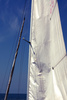 white sail - photo/picture definition - white sail word and phrase image
