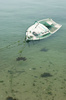 boat wreck - photo/picture definition - boat wreck word and phrase image