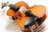 viola - photo/picture definition - viola word and phrase image
