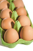 chicken eggs - photo/picture definition - chicken eggs word and phrase image
