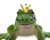 frog king - photo/picture definition - frog king word and phrase image