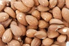 shelled almond - photo/picture definition - shelled almond word and phrase image