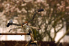 bicycle handbars - photo/picture definition - bicycle handbars word and phrase image