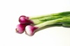 young onions - photo/picture definition - young onions word and phrase image