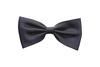 bow tie - photo/picture definition - bow tie word and phrase image