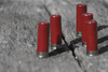 shotgun shells - photo/picture definition - shotgun shells word and phrase image
