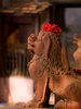 statue of lion - photo/picture definition - statue of lion word and phrase image