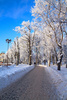 winter park - photo/picture definition - winter park word and phrase image