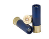 hunting ammunition - photo/picture definition - hunting ammunition word and phrase image