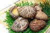 dried shiitake - photo/picture definition - dried shiitake word and phrase image