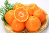 ponkan oranges - photo/picture definition - ponkan oranges word and phrase image