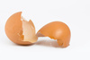 egg shell - photo/picture definition - egg shell word and phrase image