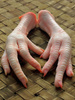 chicken feet - photo/picture definition - chicken feet word and phrase image