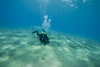 underwater photographer - photo/picture definition - underwater photographer word and phrase image