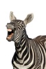 laughing zebra - photo/picture definition - laughing zebra word and phrase image