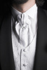 wedding suit - photo/picture definition - wedding suit word and phrase image