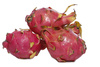 dragon fruit - photo/picture definition - dragon fruit word and phrase image