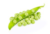sweet peas pod - photo/picture definition - sweet peas pod word and phrase image