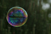 flying bubble - photo/picture definition - flying bubble word and phrase image