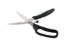 professional kitchen scissors - photo/picture definition - professional kitchen scissors word and phrase image