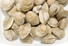 clams - photo/picture definition - clams word and phrase image