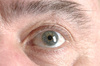 male eye - photo/picture definition - male eye word and phrase image