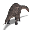 dicraeosaurus - photo/picture definition - dicraeosaurus word and phrase image