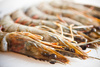 tiger prawn - photo/picture definition - tiger prawn word and phrase image