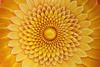 ceramic sunflower - photo/picture definition - ceramic sunflower word and phrase image
