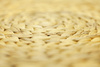 wicker litter - photo/picture definition - wicker litter word and phrase image